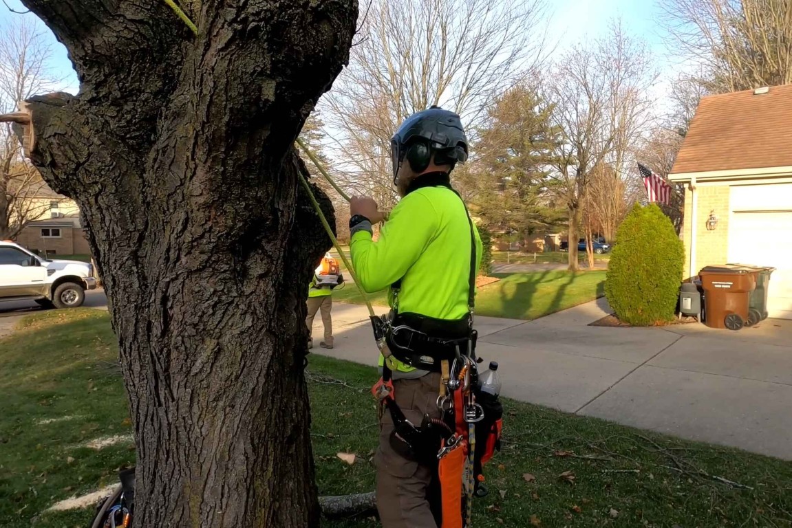 Emergency Tree Services service in Richfield, MN